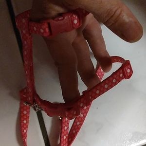 NWOT Coastal CAT harness only tried on my cat shes too old to teach!